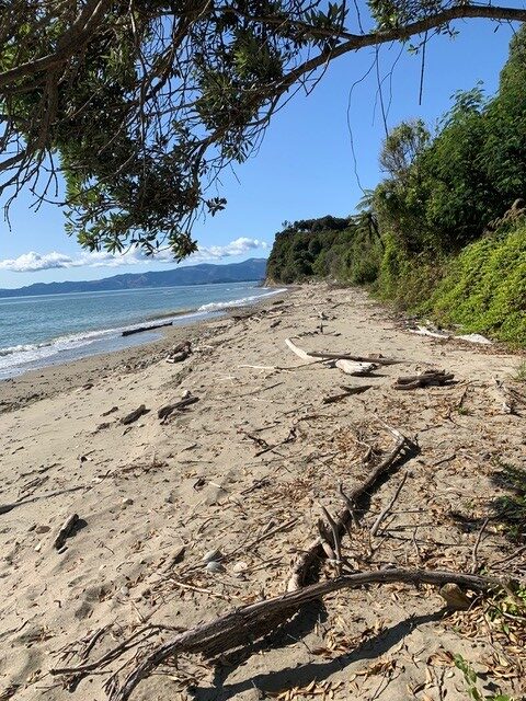 New Zealand Beach